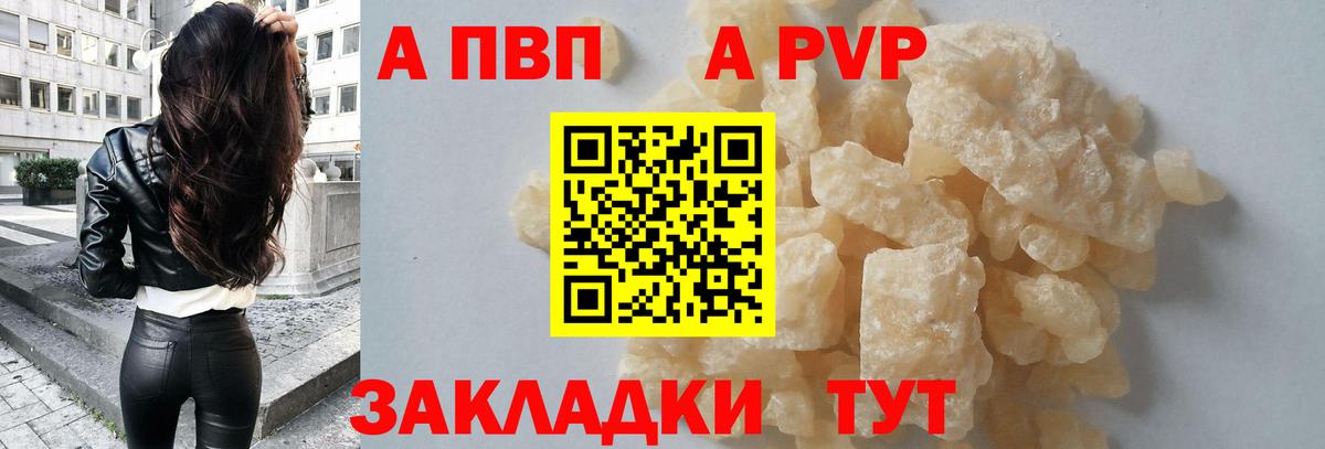 Alfa_PVP СК КРИС Кизилюрт