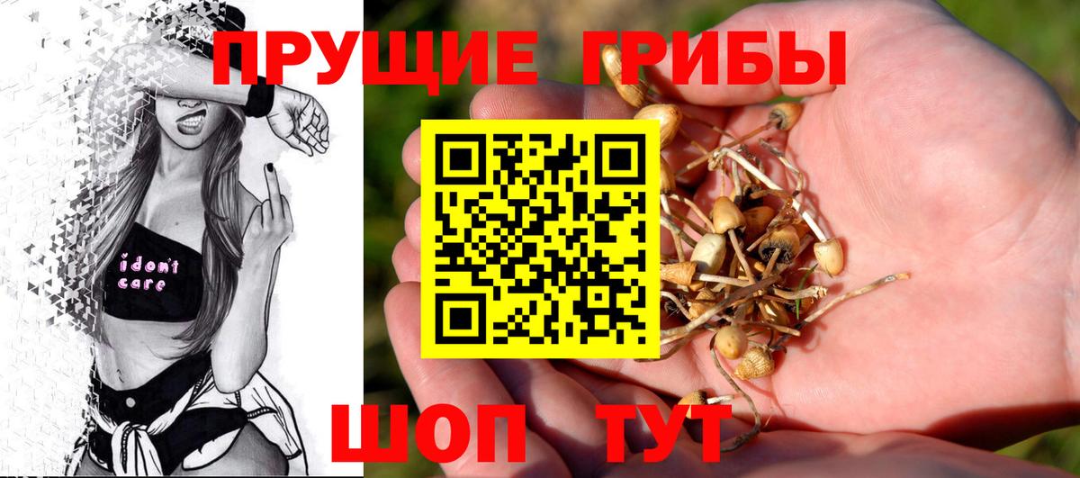 Галлюциногенные грибы мицелий  цены   Кизилюрт  Вход с VPN 