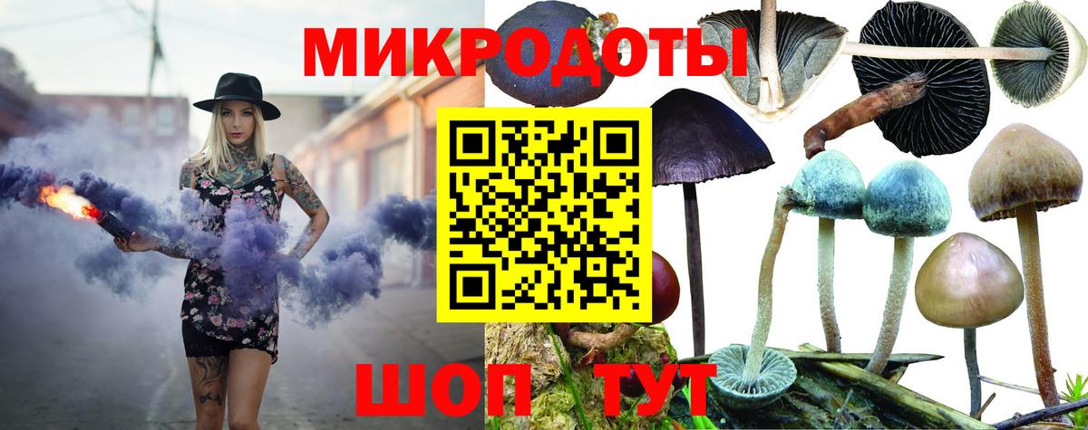 Галлюциногенные грибы GOLDEN TEACHER Кизилюрт
